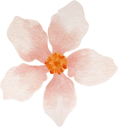 Watercolor Flower Illustration
